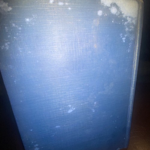 1928 Love JANE EYRE myth GOTH ROMANCE Charlotte BRONTE 3rd Edition - Picture 7 of 7
