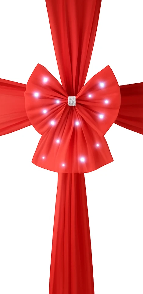 Arco de puerta rojo luces LED plateadas malla grande lujo decoración navideña Navidad Reino Unido Foto 2 de 4