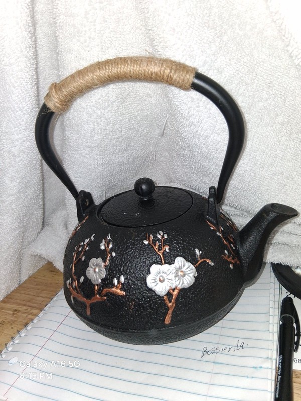 Cast Iron Teapot 