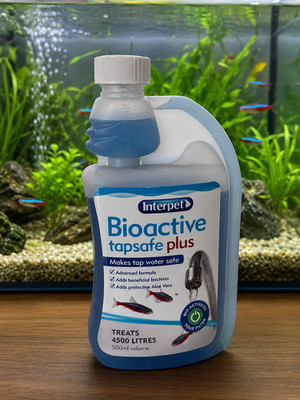 Interpet Bioaktive Tapsafe Plus Wasseraufbereitung für Aquarien, 500 ml