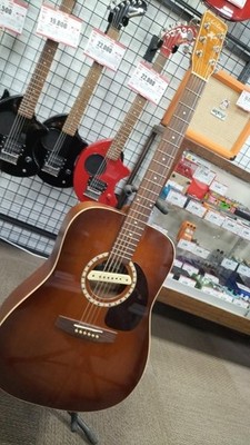ART & LUTHERIE Eleaco CEDAR GT gebraucht