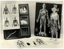 Italy, Men's Silver Print 18x24 Circa 1960 Silver Print