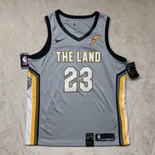 the land jersey lebron