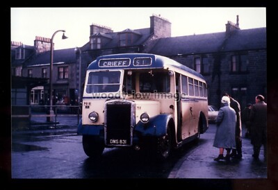 tm7206 - Bluebird Bus - Nr.PB18/D, Reg.Nr.DMS 831, Nr.51/Grieff - Foto 6x4