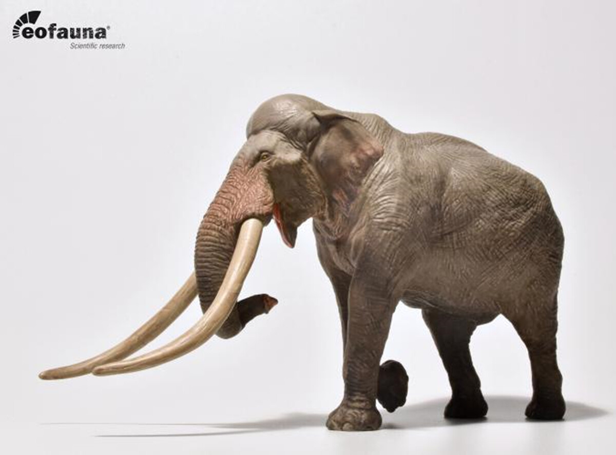 Eofauna 1/35 サイズ デイノテリウム 恐獣 象 大きい 絶滅 動物