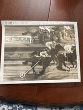 Horse Racing Finish Line Photo. Lingfield Park 1978