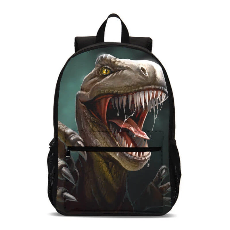 Dinosaurs Backpack Set, Back to School Gift for Kid