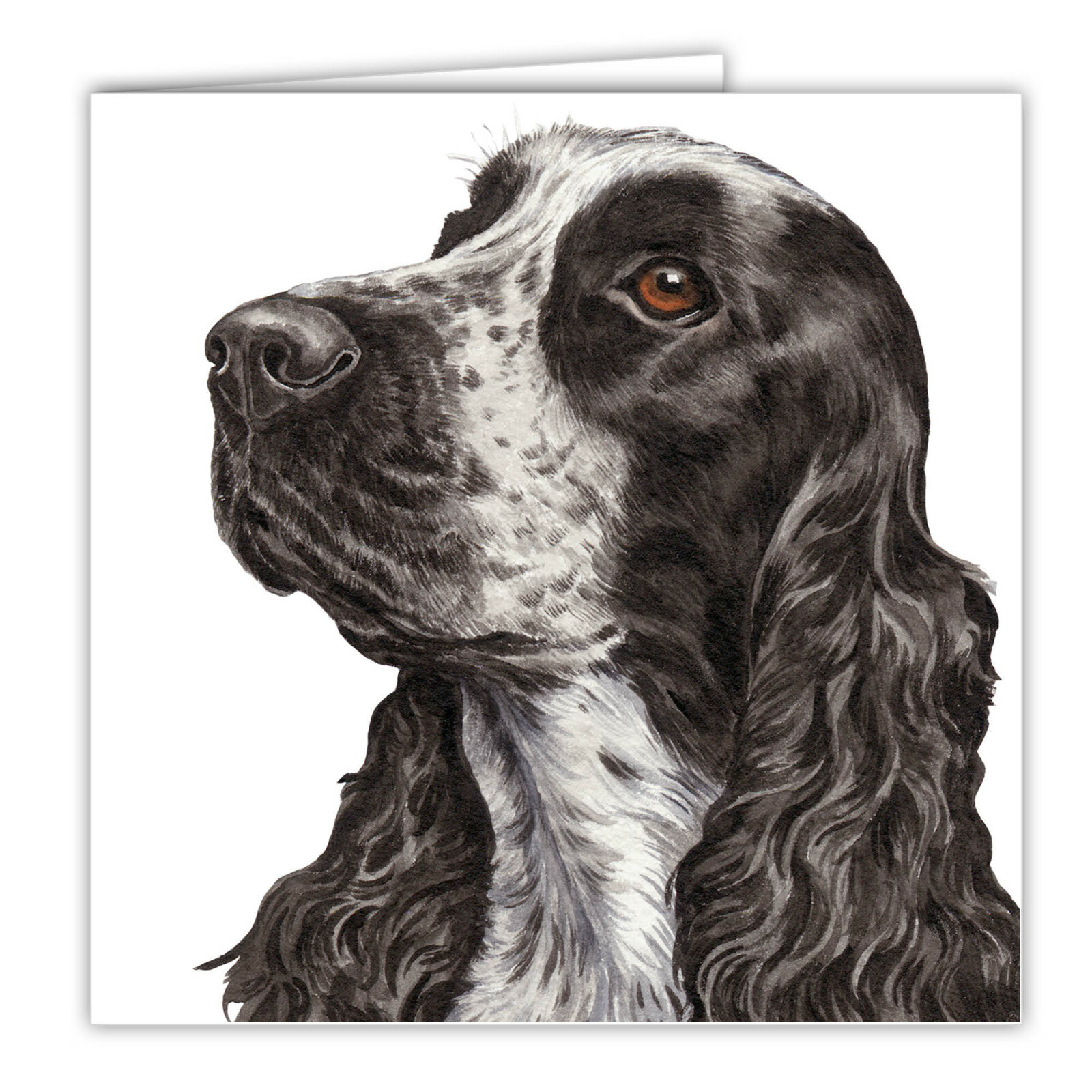 English Cocker Spaniel BLANK greetings card dog Blue Roan Cockers Spaniels cards