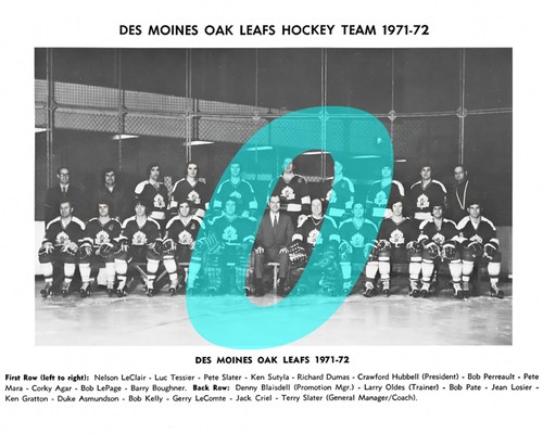 INTERNATIONAL HOCKEY LEAGUE TEAM PHOTOS ( YOU PICK FROM LIST) REPRINT - Picture 66 of 145