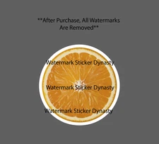 Orange Sticker Waterproof Decal Peel Slice Fruit Citrus Food Tree Gift NEW