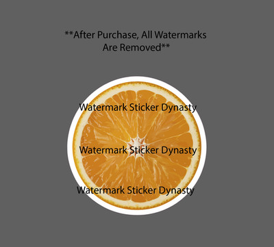 Orange Sticker Waterproof Decal Peel Slice Fruit Citrus Food Tree Gift NEW