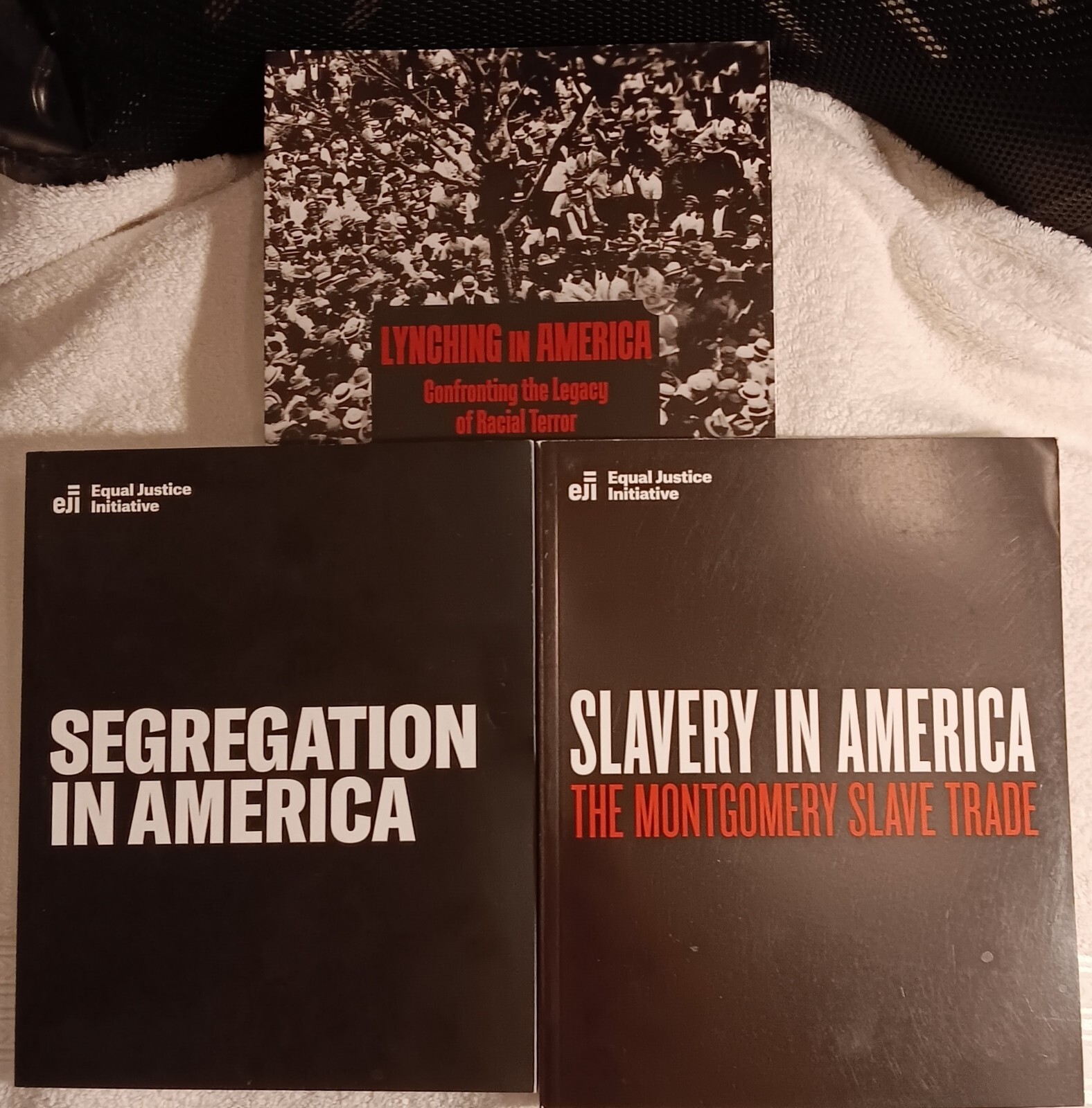 Equal Justice Initiative Lot Of 3 Slavery/Lynching/Segregation In America