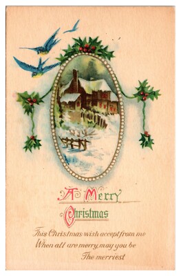 A Merry Christmas, Holly, Bluebirds, Snowy House, c. 1910, Greetings Postcard