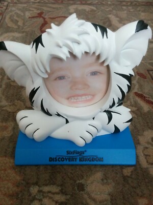 Six Flags Discovery Kingdom Amusement Park WHITE TIGER FACE Picture Photo Frame 