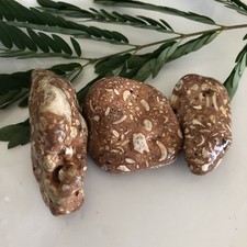 Pudding Stone, Terrazzo, Sea Rock, Sea Stone, Stone Decor, Fish Tank Decor, Rock