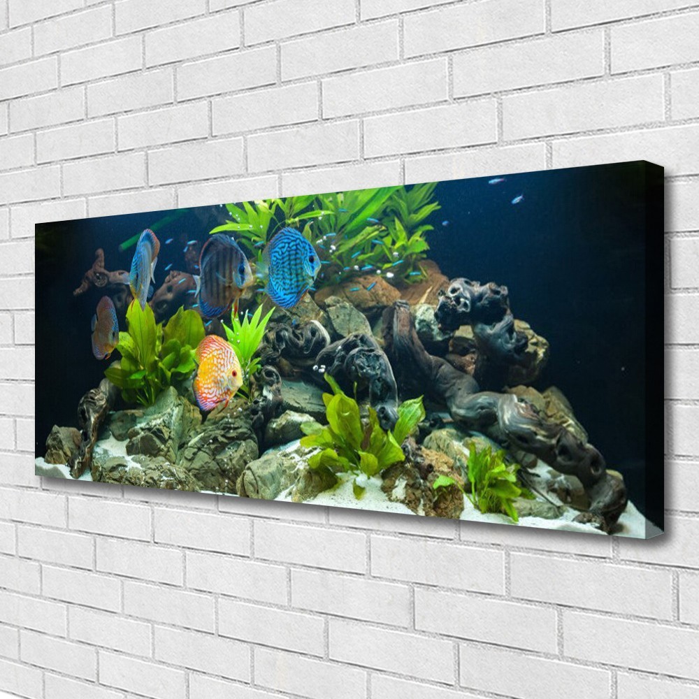 Tableau panoramique nature poissons pour habiller un grand mur vide 125x50