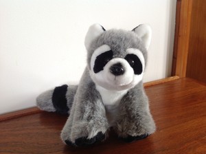 wild republic raccoon