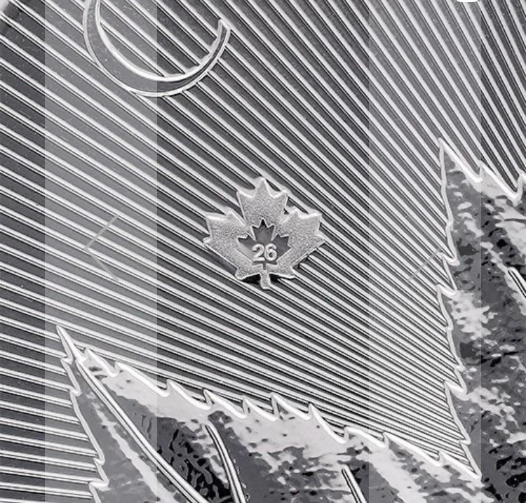 Moneda Gran Hoja de Arce de Plata Canadiense 2026 PRIMERA 5 OZ BU Foto 4 de 4