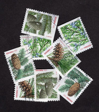 250 Holiday Evergreens Stamps, Forever, Used, Off Paper