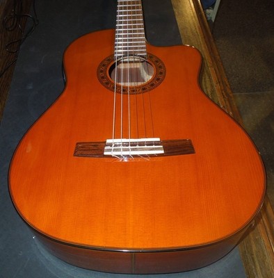 VALENCIA model VG-190 CE ACOUSTIC/ELCTRIC/W - CASE