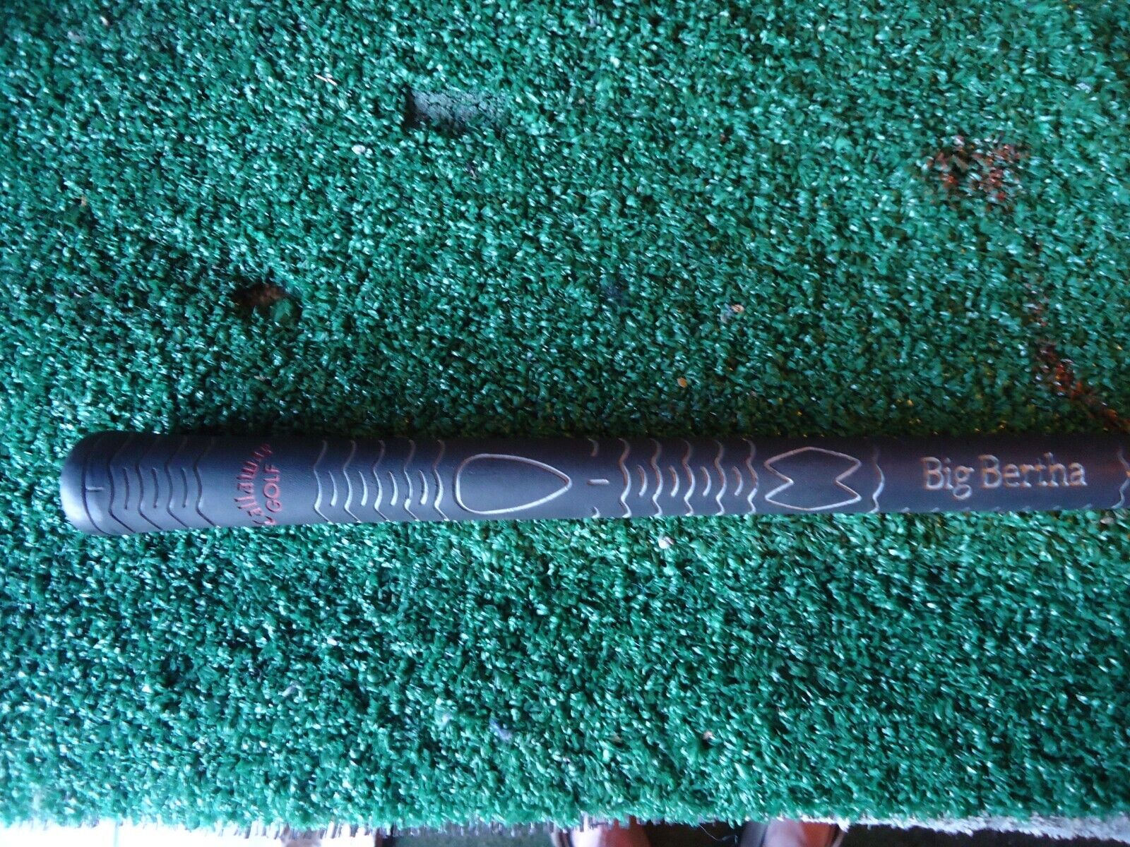 Picture 6 of 6
