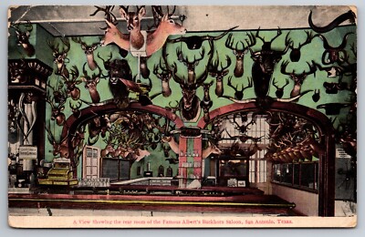 Famous Albert's Buckhorn Saloon Mounted Deer Elk San Antonio TX C1907 Postcard