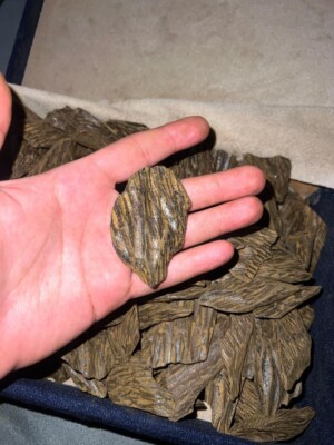  عود كلمنتان بلاك Premium Agarwood Kalimantan Black Oud 50g