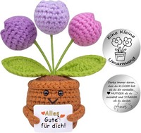 Gestrickte Blumen GlüCksbringer Pocket Hug Positive Strickwolle Geschenk Gute