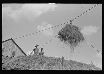 Photo:Central Ohio 1938 Hay Stacking Cable Rig Fork Farm Workers