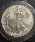 2000  American Silver Eagle .999 Fine Silver 1 oz BU with case Uncirculated