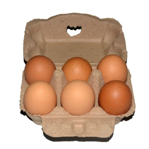 3PCS Kraft Paper Egg Holder Natural Pulp Egg Cartons Holds Egg Cartons  Kitchen - Picture 1 of 14