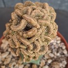 Foto 8 di 24