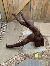   Natural Sinking Driftwood
