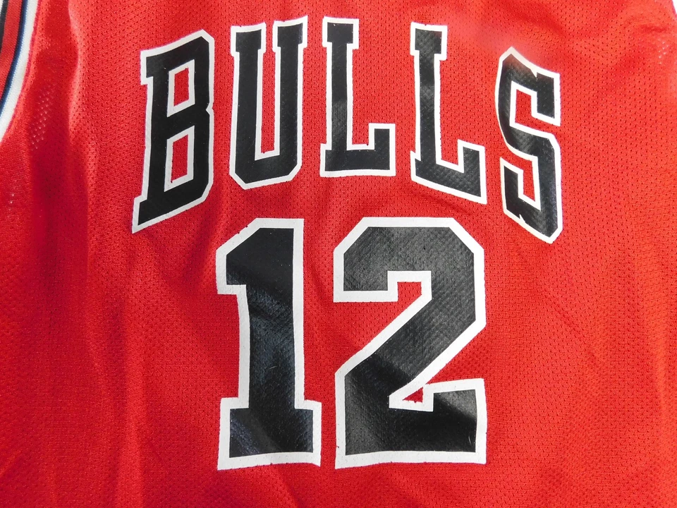 Chicago Bulls Jersey Youth Medium Red NBA Basketball Kirk Hinrich 12 Adidas - Image 3 of 4