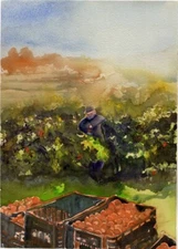 Orchard Summer : Sandra Watercolors™ California : ORIGINAL PAINTING