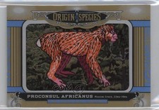 2016 Goodwin Champions Origin of Species Tier 5 Proconsul Africanus Patch aa7