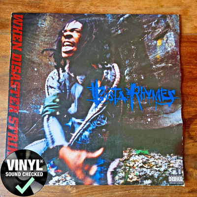 Busta Rhymes When Disaster Strikes... ( VG) Erstpressung Elektra 1997 2x LP