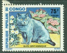 CONGO  1974  Cat   British Shorthair  British Blue     MNH