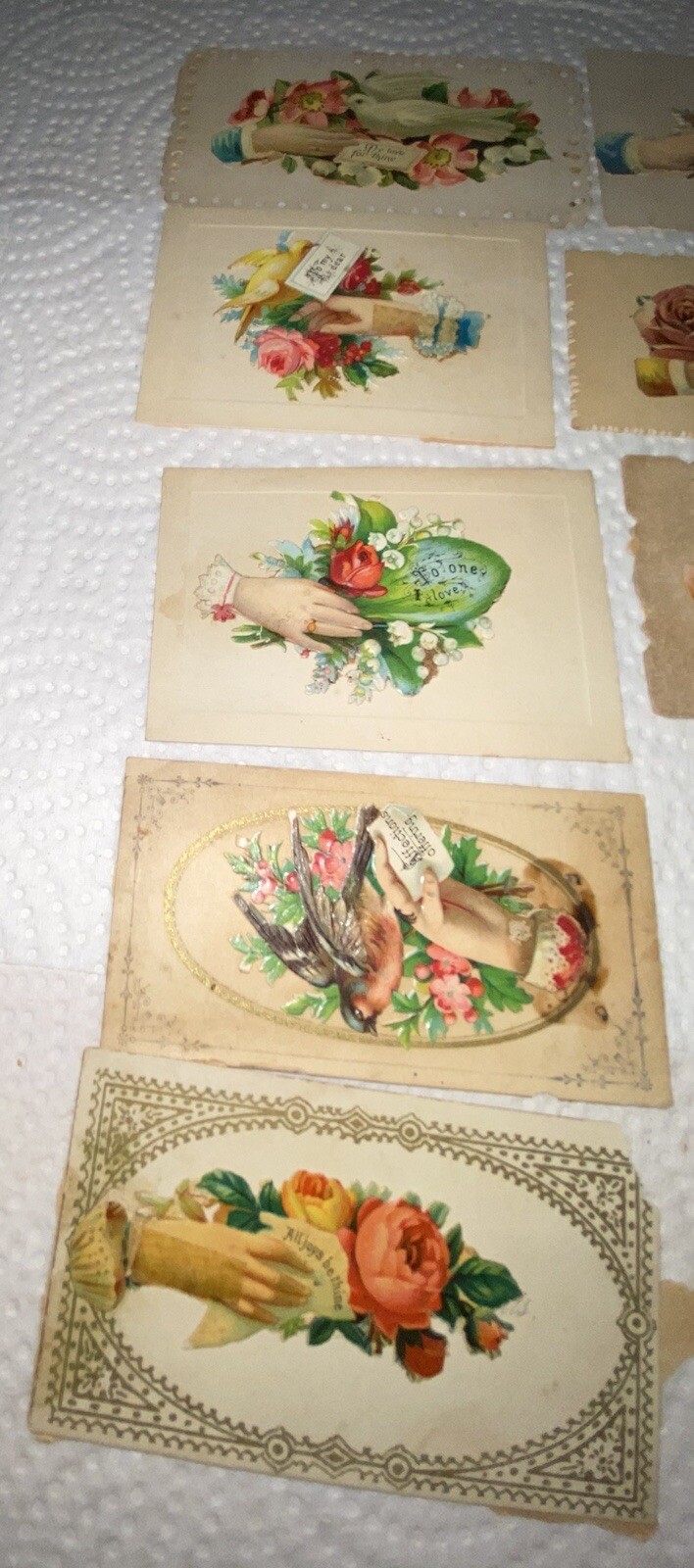 Picture 9 of 22