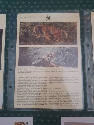 World Wildlife Fund WWF Editorial Stamps & FDC Discounts 20% 4+ items 95 listed - Picture 111 of 634