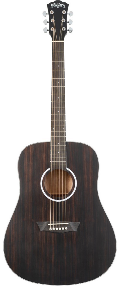 Washburn Dreadnought Acoustic Guitar, Striped Ebony