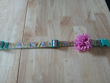 large dog collar with pretty flower