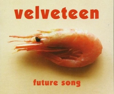 Schruff Future Song (CD)