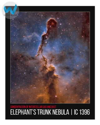 Elefantenrüsselnebel Poster Kosmische Astronomie Wandbild 12X16/16X20/18X24/2...