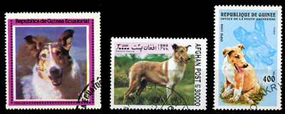 SMOOTH COLLIE SOTTISH SÄFERHUND HUND INTERNATIONALE BRIEFMARKEN x 3 verschiedene 
