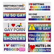 10 PCS Bumper Decals, Funny LGBT Sticker Rainbow Gay Bumper Prank Decoration