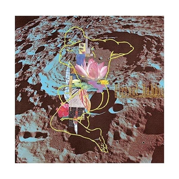 Susumu Hirasawa-Virtual Rabbit-JAPAN CD 2014 Official Collectible Exclusive