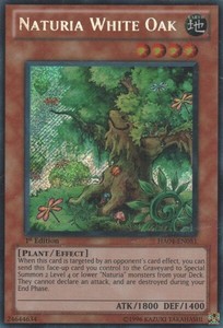 Naturia White Oak - HA04-EN051 - Secret Rare - 1st Edition x3 - Near Mint