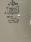  Vintage American Limoges 4-Dinner Plate From The Triumph Collection. 22K Gold — photo 5