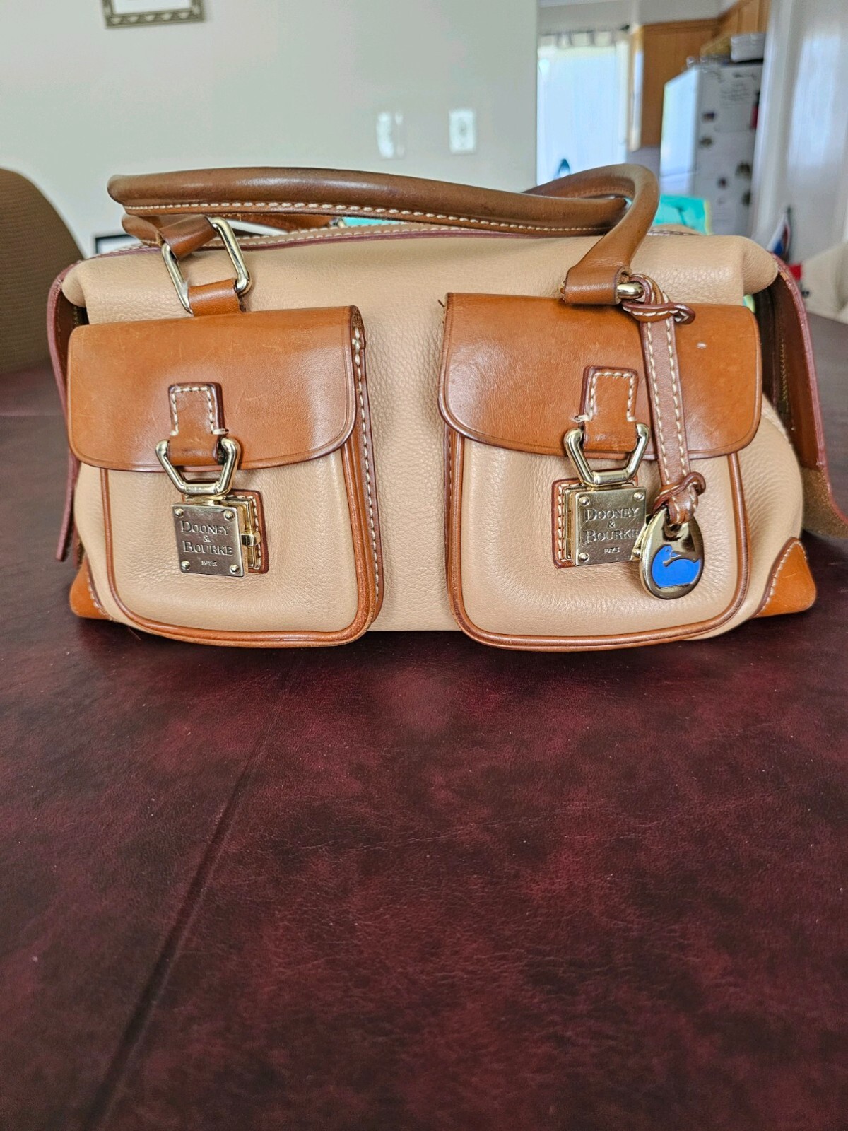 Stylish and trendy handbag for women-image